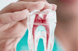 Ética, humanidad y tecnología en la atención odontológica moderna