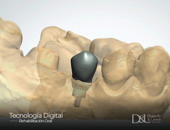 D&L_Tecnologia